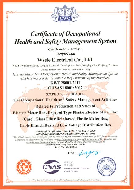 Porcellana WSELE ELECTRIC CO.,LTD. Certificazioni